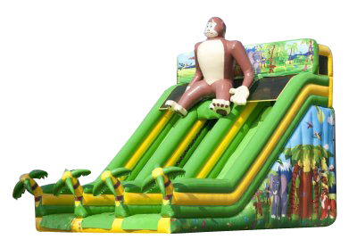 Toboggan double Jungle gonflable