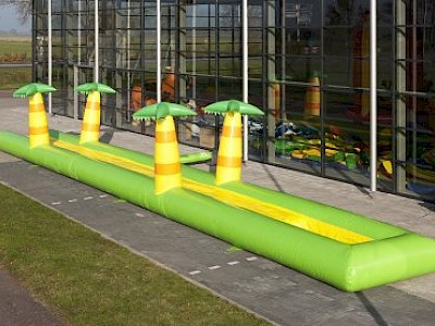 Ventreglisse PALMIERS mono