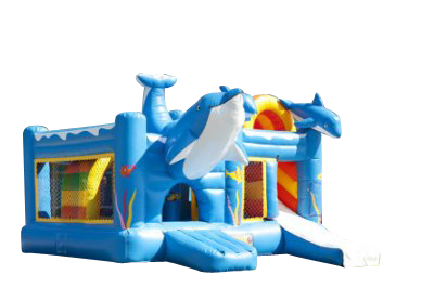 Multi Playground Dauphin gonflable asg34