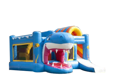 Multi Playground Requin gonflable asg34