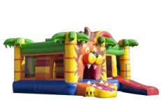 Multi Playground Lion gonflable asg34