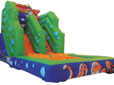 Toboggan Gonflable "AQUARIUS"