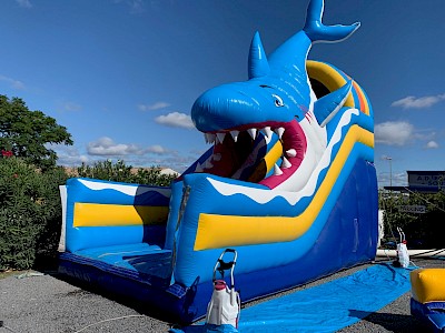 Toboggan Gonflable REQUIN gonflable