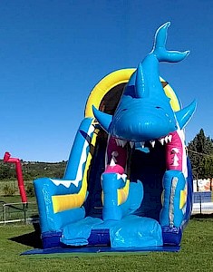 Toboggan Gonflable REQUIN gonflable