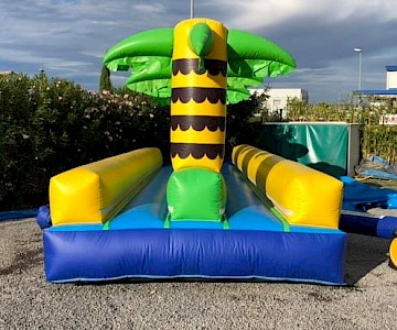 Structure Gonflable Ventreglisse 12m PALMIERS