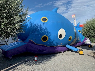 Parcours Gonflable BALEINE Couvert