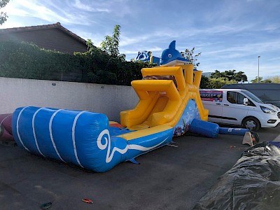 Toboggan Gonflable DAUPHIN AQUA + reception