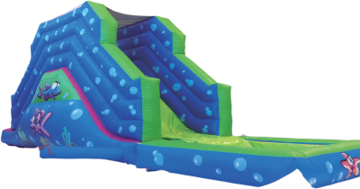 Toboggan Gonflable "AQUARIUM"