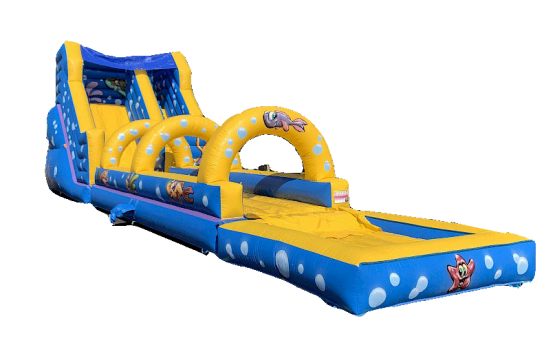 Vue d'ensemble du toboggan gonflable Aquatico