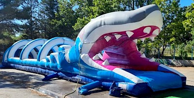 Ventreglisse Gonflable REQUIN 2000€ht