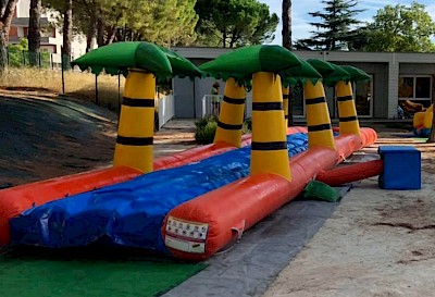 Ventreglisse Gonflable PALMIERS 1500€ht