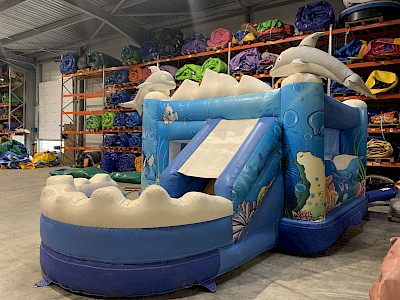 Combo Gonflable DAUPHINS - 1700€ht