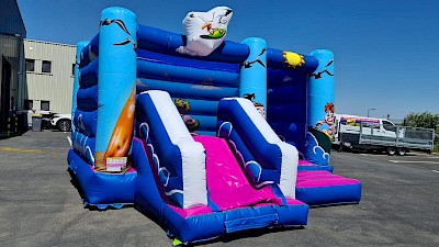 MultiPerdila Gonflable PLAGE 2795€ht