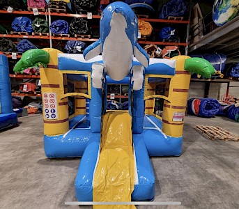 Aire Gonflable FUN DAUPHINS 2100€ht