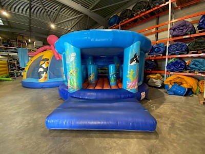 Aire gonflable RONDE - 1500€ht