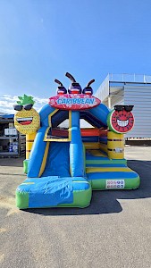 Combo Gonflable "CARAIBES" occasion - 2000€