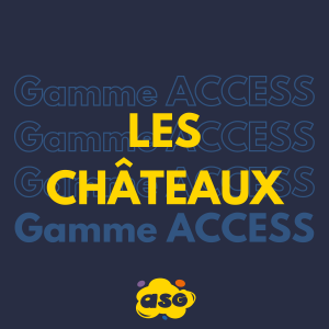Achetez votre château gonflable de taille moyenne à petit prix et qualité PRO !