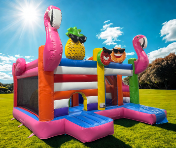 Multiplay Gonflable ACCESS JUMP "FLAMANTS ROSES"