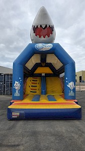 Multiplay REQUIN occasion - 1400€ht