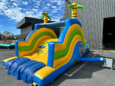 Toboggan Gonflable AQUA PEQUENOS occasion