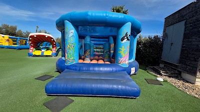 AIRE ronde MER occasion - 950€ht