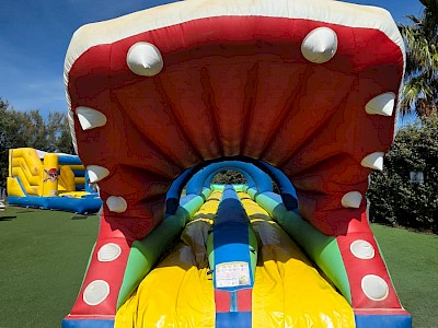 Ventreglisse Gonflable "REQUIN" occasion 16M - 1950€ht