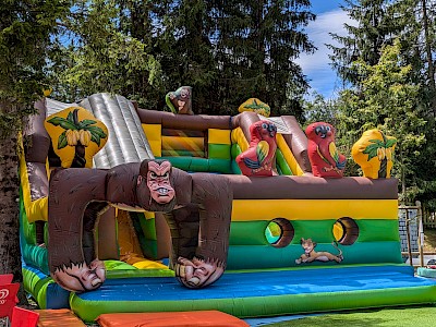 AIRE GORILLES occasion - 4300€ht