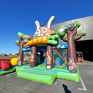 AIRE BOSQUET occasion - 2500€ht