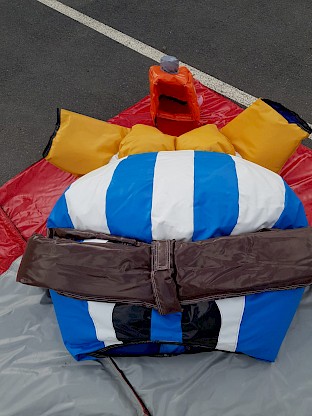 Costume de sumo Obélix