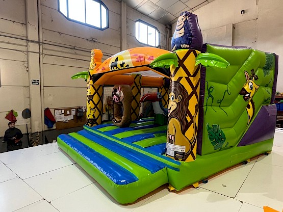 Vente de château, gonflable dans l'Hérault en Occitanie