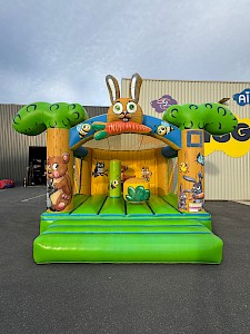 Château 4/4 Gonflable CHAMPETRE pinede occasion