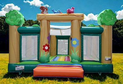 AIRE GONFLABLE ACCESS  6/6 "FORET"