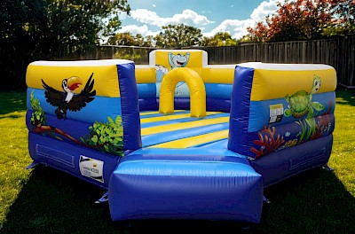 AIRE GONFLABLE ACCESS 5/5 "Corbeille MER"