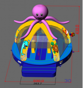 AIRE GONFLABLE ACCESS 5/5 "PIEUVRE"