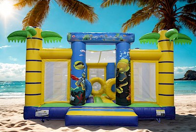 AIRE GONFLABLE ACCESS 6/6 "MER"