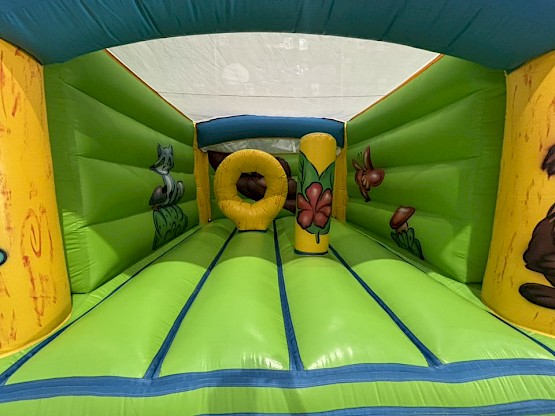 Vue d'ensemble de l'intérieur du Château Gonflable champêtre d'occasion
