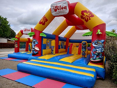 Aires de jeux gonflables "ALOA"
