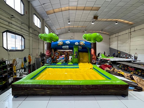 Air de jeux gonflables sur le thème Homair