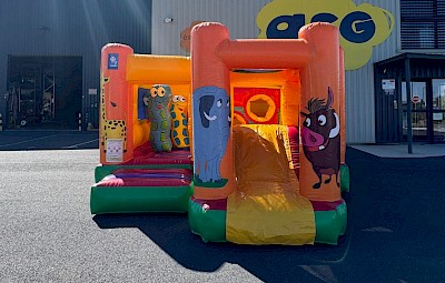 Combo Gonflable "JUNGLE" occasion